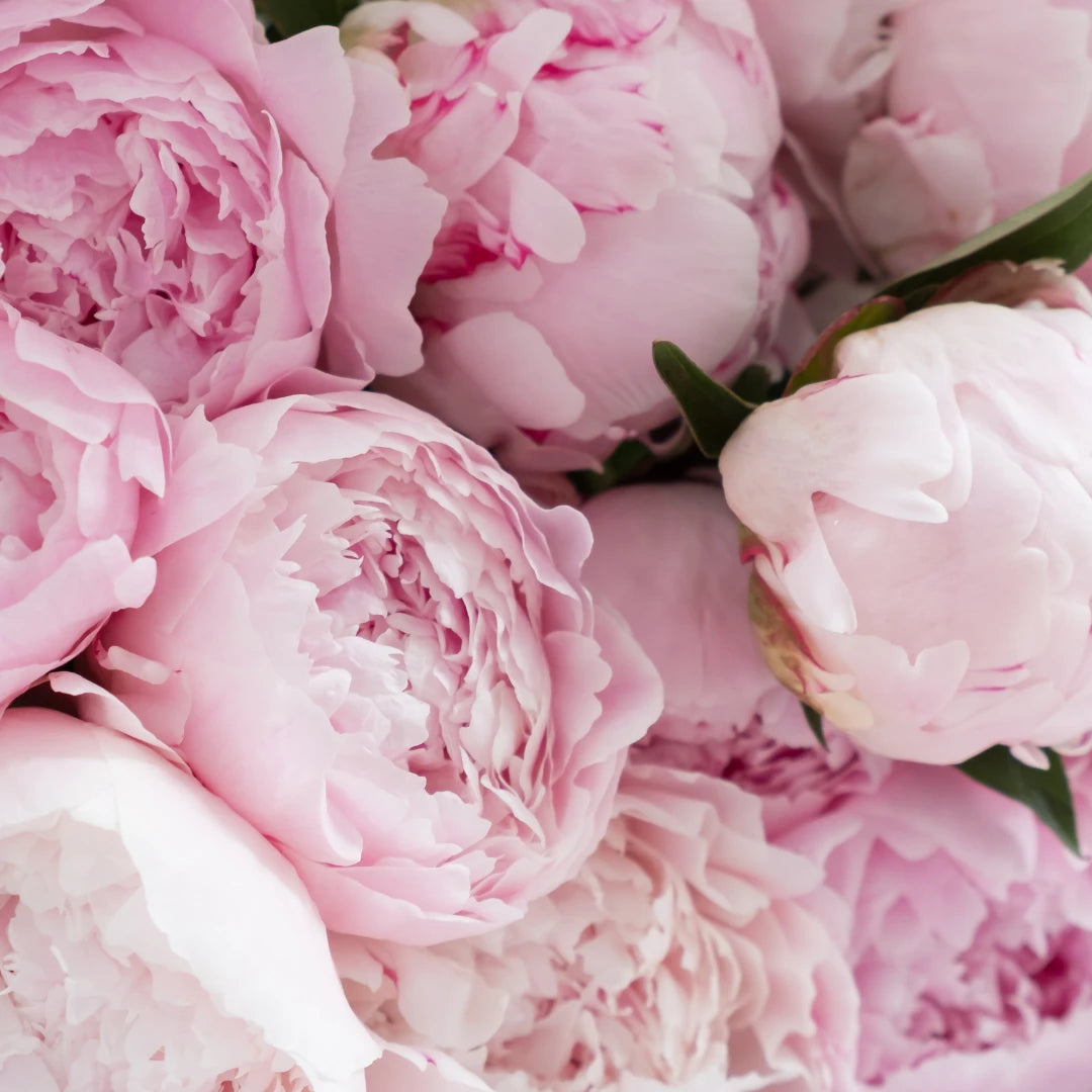 Vela aromática artesanal de peonía y jazmín