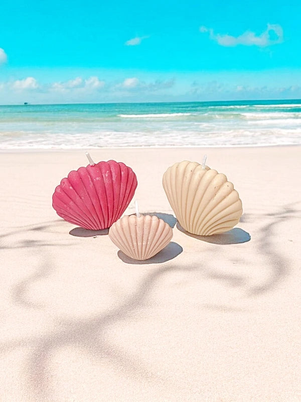 Pack vela decorativa concha